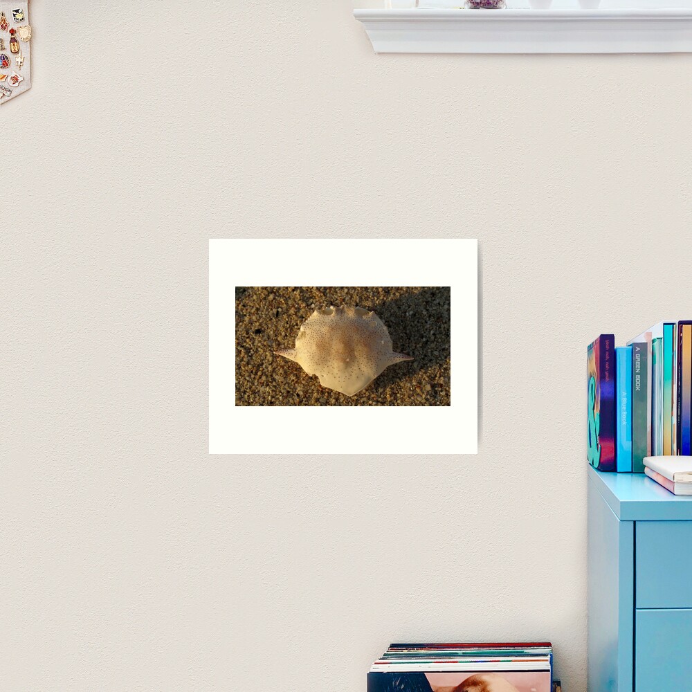 Matuta Art Print
