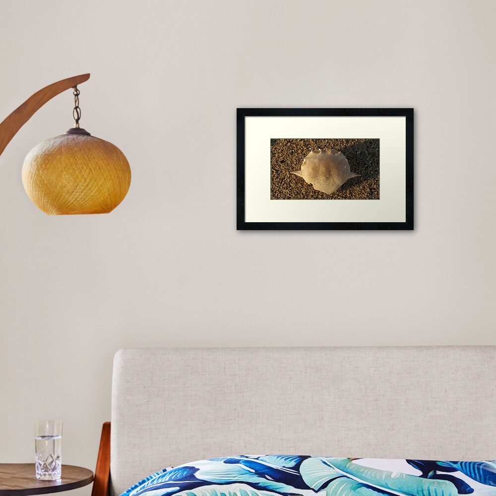 Matuta Framed Art Print