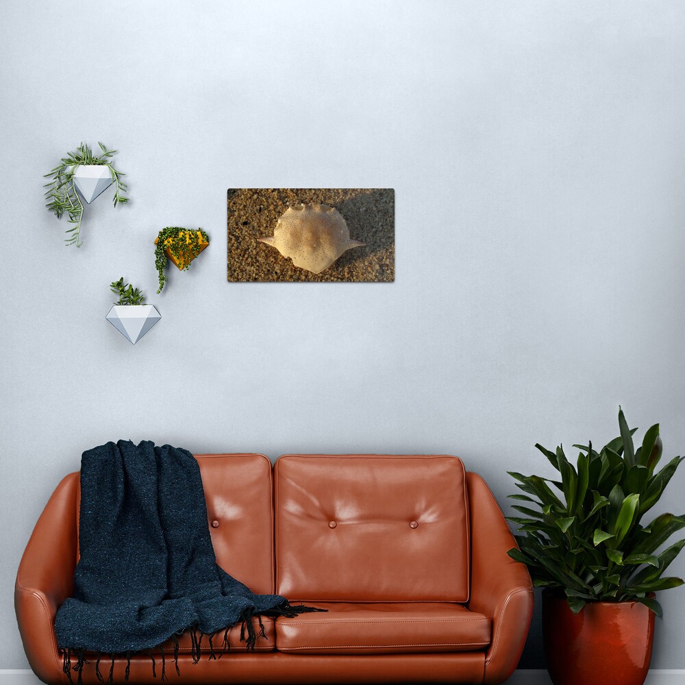 Matuta Metal Print