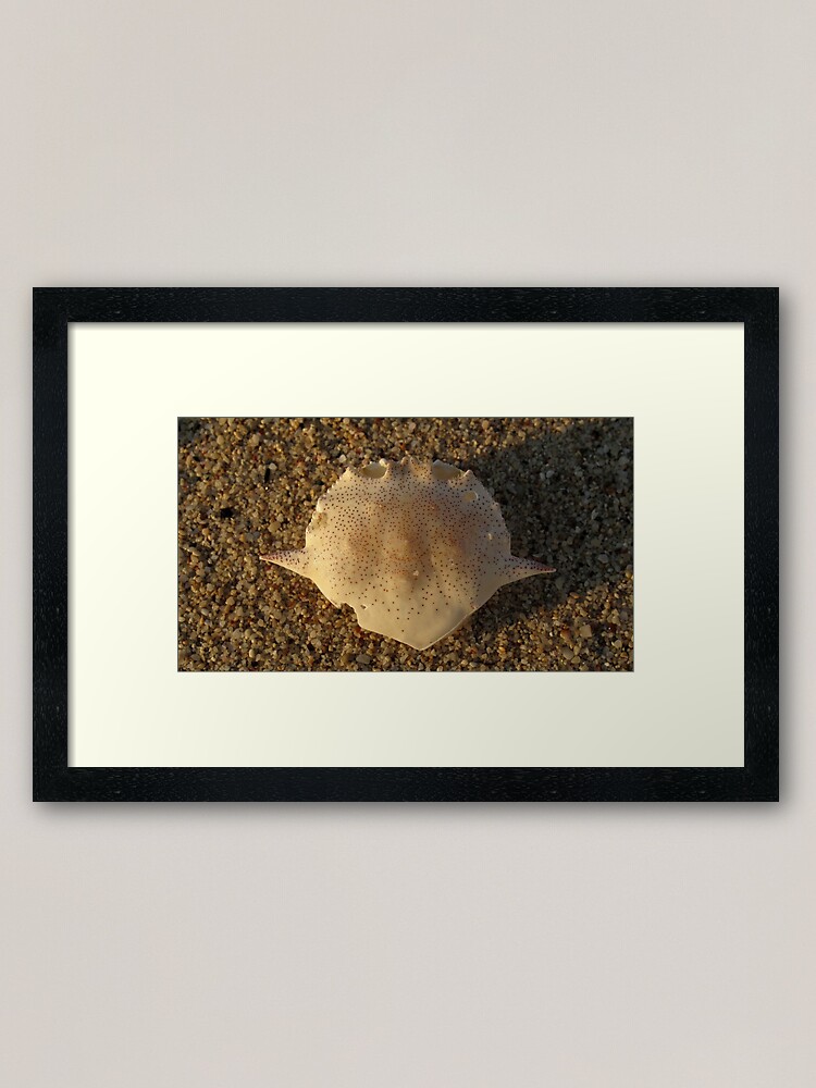 Alternate view of Matuta Framed Art Print