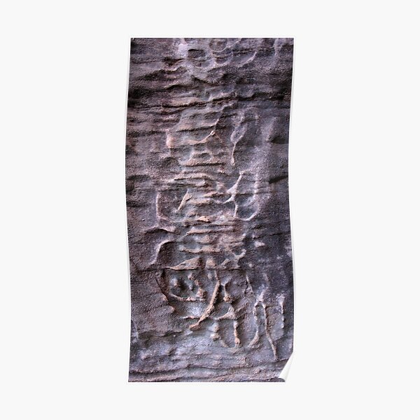 Cave sculpture II Poster