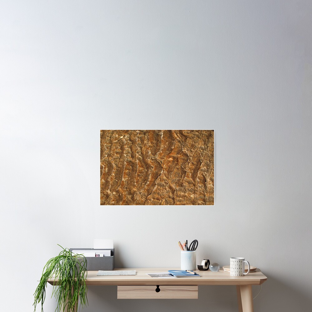 Ancient ripples Poster
