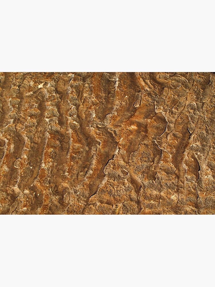 Ancient ripples by neoniphon
