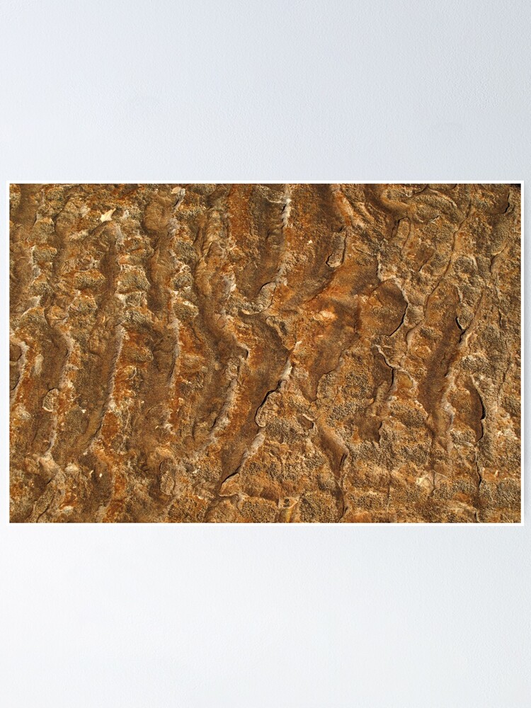 Alternate view of Ancient ripples Poster