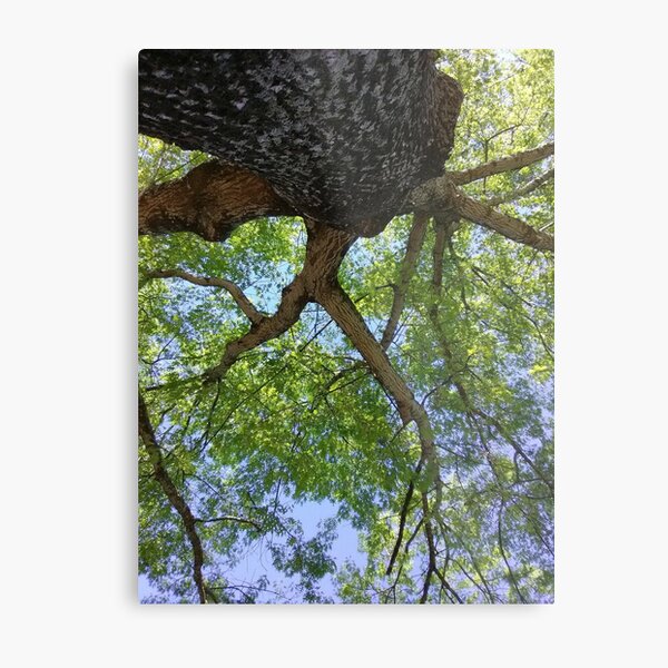 Under the shade Metal Print
