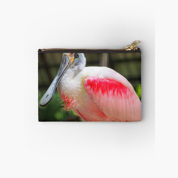 Item preview, Spoonbill designed and sold by asapadventures.