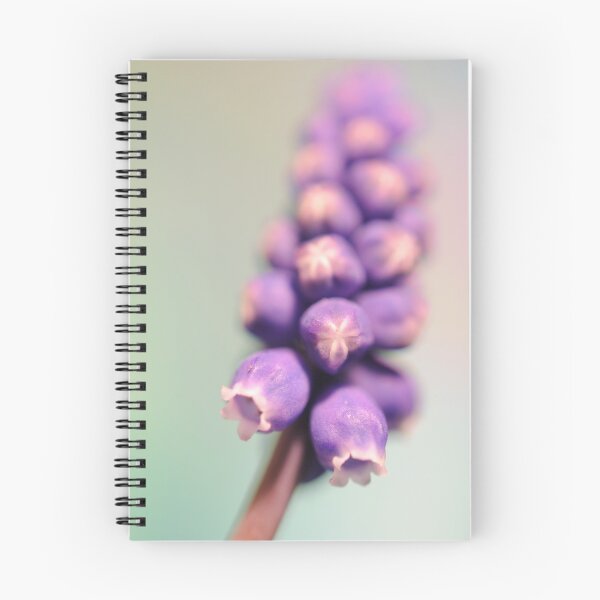 Item preview, Muscari designed and sold by duncandragon.