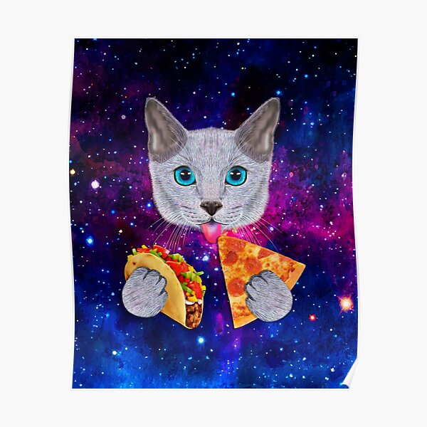 Function Galaxy Cat Fashion Sock Funky Animal Astro Space Casual Kitty 