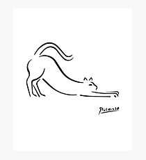 Pablo Picasso Cat Artwork Shirt, Kätzchen Skizze Reproduktion Fotodruck