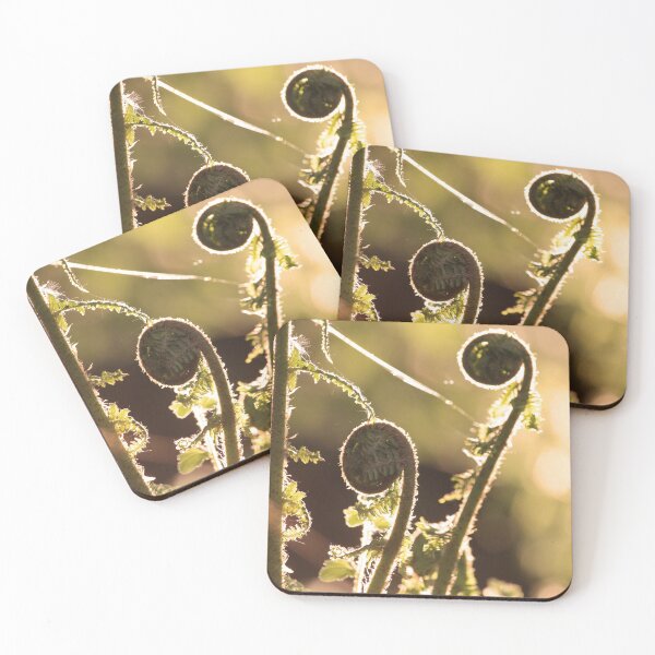 Item preview, New unfurling bracken fronds in spring designed and sold by Imladris01.