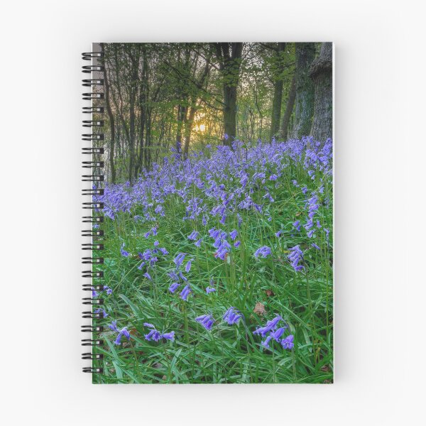 Item preview, Sunset at Bluebell Wood in Margam designed and sold by Leighton Collins.