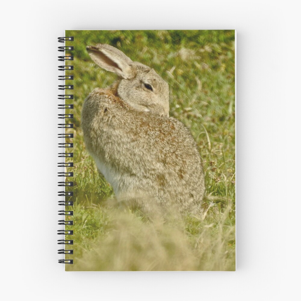 Item preview, Spiral Notebook designed and sold by Louisamhocking.