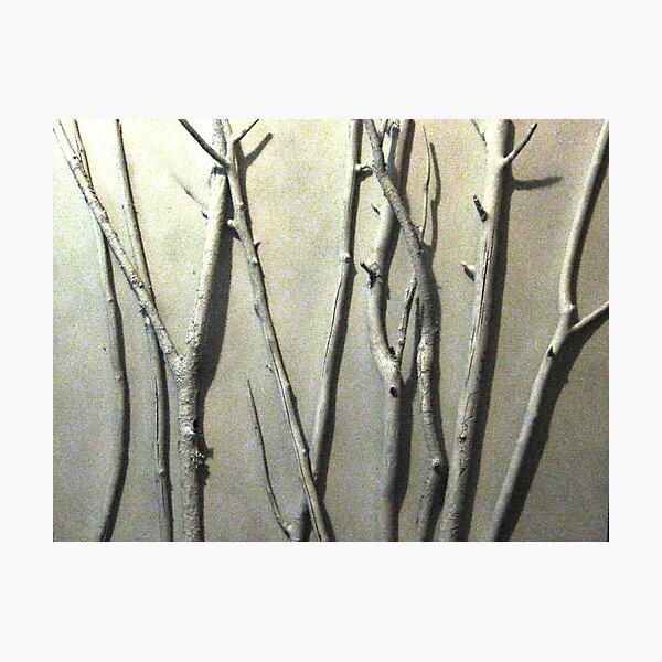 Relief Painted Branches Photographic Print
