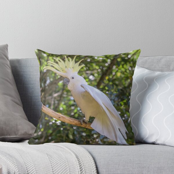 Item preview, Cockatoo 1 designed and sold by Jensphotos.