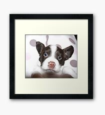 Blue Eyed Girl Framed Print