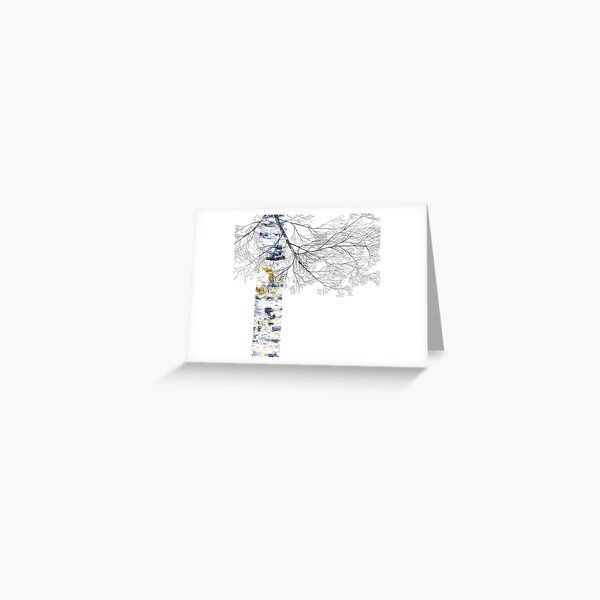 Silver Birch Greeting Card