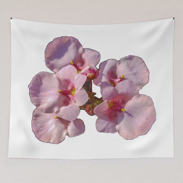 Item preview, Soft Pink Winter Flowers on a transparent background designed and sold by ellenhenry.