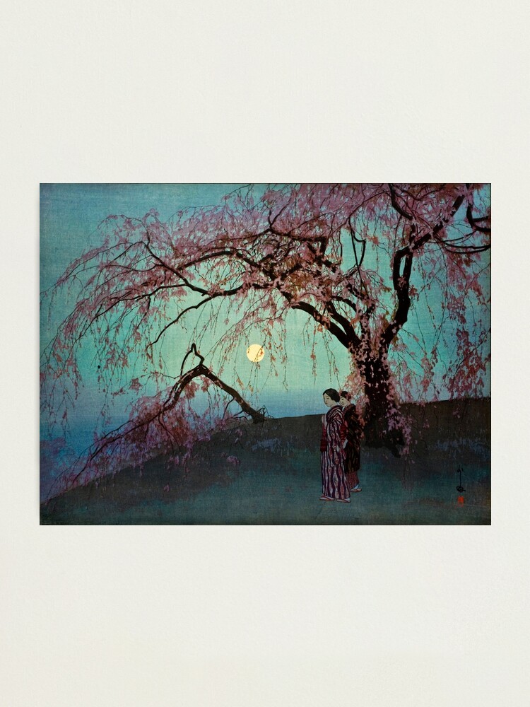 Alternate view of Kumoi Sakura by Yoshida Hiroshi Photographic Print