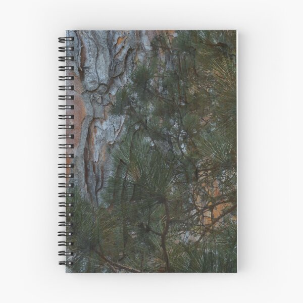 Item preview, White Pine Tree Bark with  Needle Foliage designed and sold by tinatippettshop.