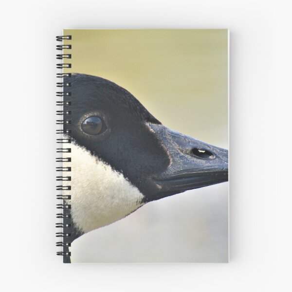 Item preview, Canada Goose headshot in Queens Park, Crewe designed and sold by SmUX.