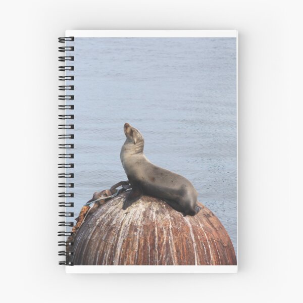 Item preview, California Sea Lion  designed and sold by Maya Konieczynski.