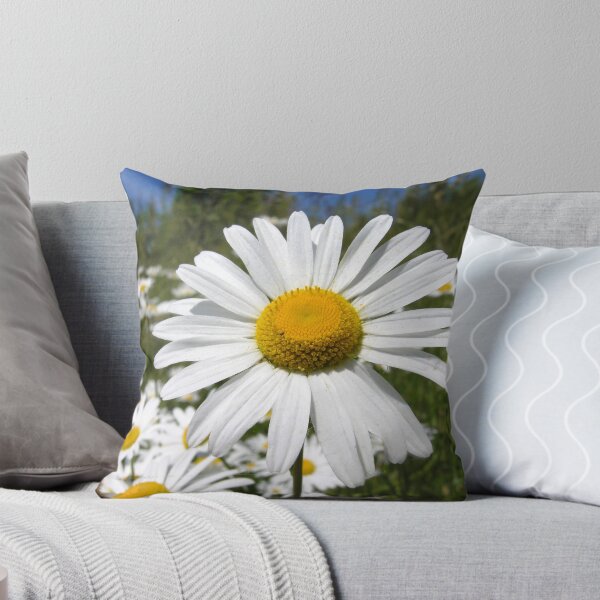 Item preview, Oxeye daisy designed and sold by Kawka.