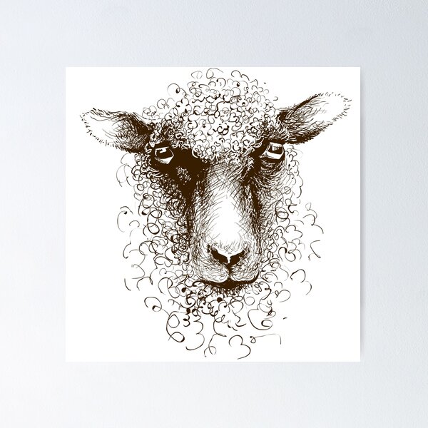 6,100+ Funny Sheep Drawing Stock Illustrations, Royalty-Free Vector  Graphics & Clip Art - iStock