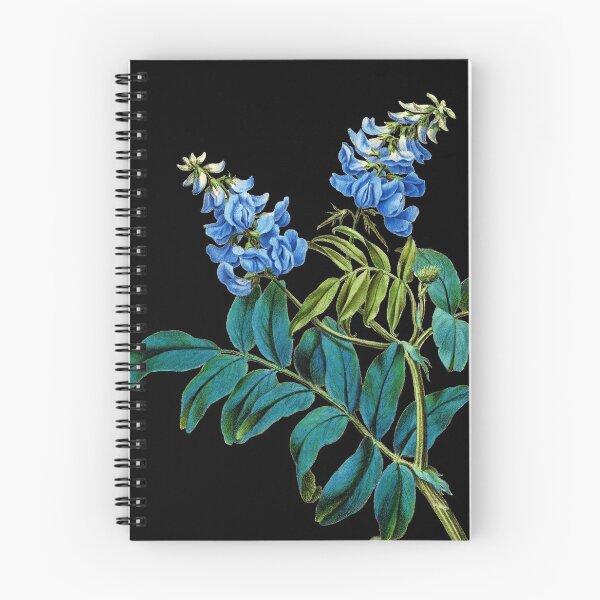 Item preview, Galega officinalis Antique Botanical Flower Art designed and sold by AntiqueImages.