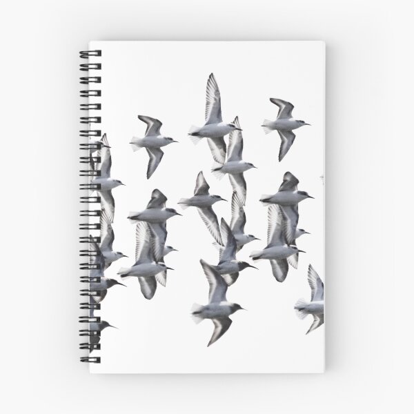 Item preview, Sanderlings and Dunlins in Flight designed and sold by arcadian7.