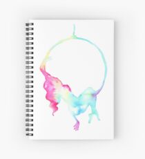 Aerial hoop - aerialist Spiral Notebook