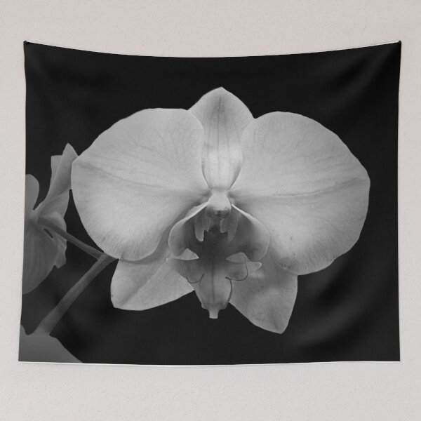 Item preview, Contemporary Black and White Orchid Flower Floral Art A576 designed and sold by byNicol.