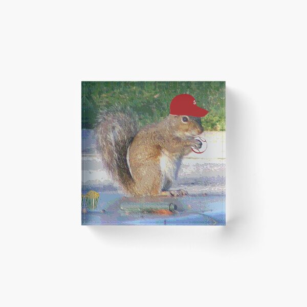 Item preview, The Pitching Squirrel designed and sold by kristalcurt.