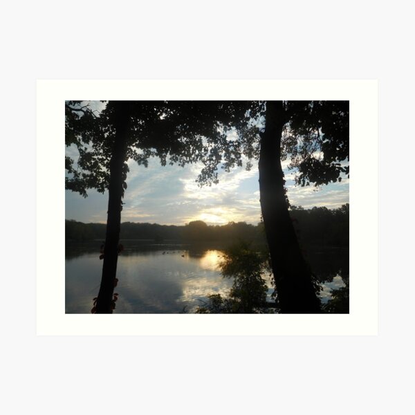 Pond 135 Art Print