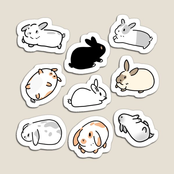 Bunny Gifts & Merchandise for Sale | Redbubble