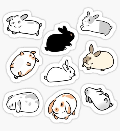 Bunny Stickers | Redbubble