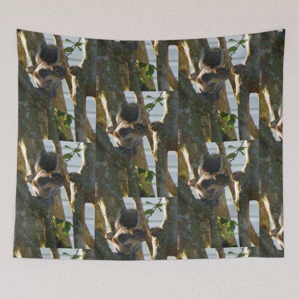 Item preview, Squirrel out on a Limb designed and sold by kristalcurt.