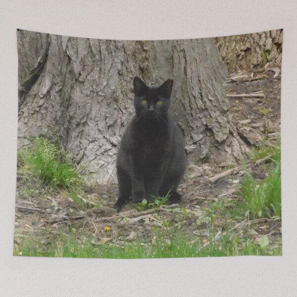 Artikelvorschau, Schwarze Katze sitzt vor Baum entworfen und verkauft von priesterjen.