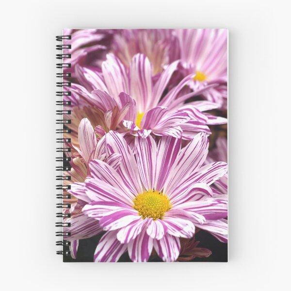 Item preview, Raspberry Ripple Chrysanthemums designed and sold by RJBPhotoDesign.