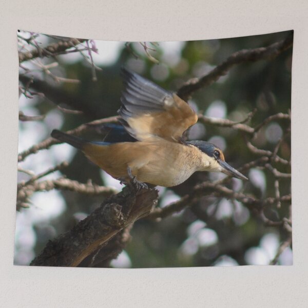 Item preview, pre flight mode engaged- New Zealand Birds designed and sold by lizdomett.