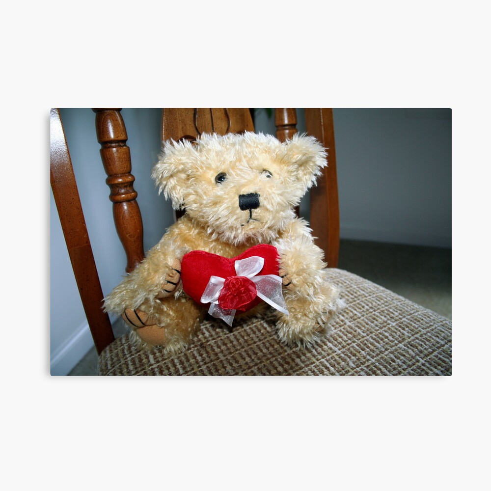 I really Love You! Canvas Print