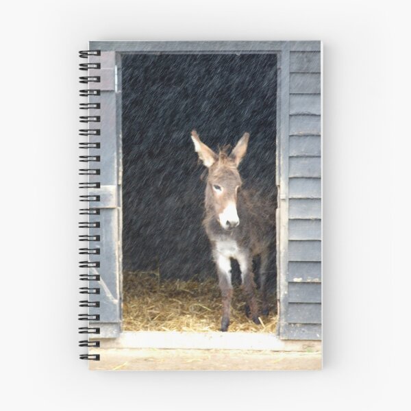 Item preview, Sanctuary From the Rain designed and sold by John Douglas.