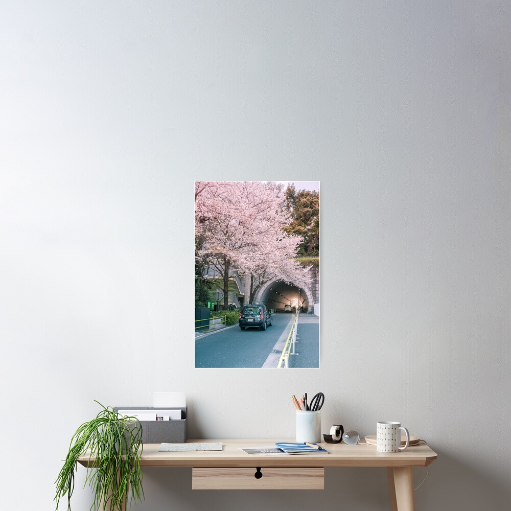 Sakura petals falling Poster