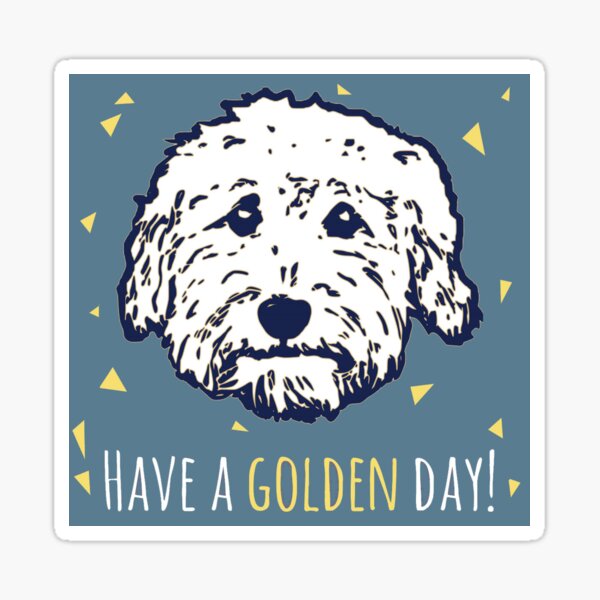 goldendoodle stuff