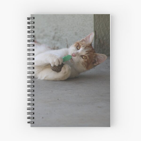 Item preview, Party Time? designed and sold by JaJoFineArt.