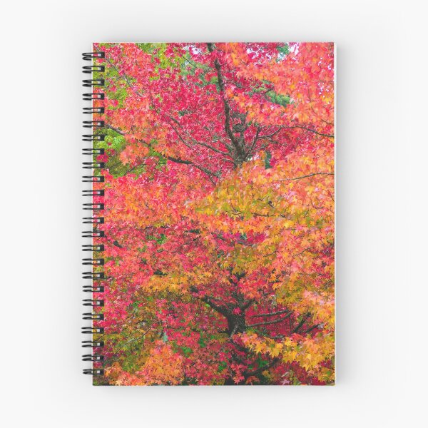 Item preview, Autumn Wonder  # 2 - Blackheath NSW designed and sold by Salieri1627.