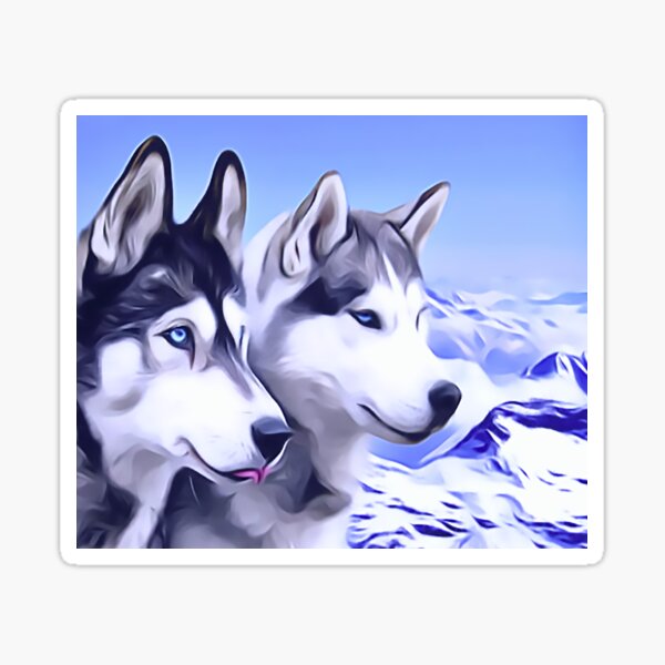 A Pair of Siberian Huskies Sticker