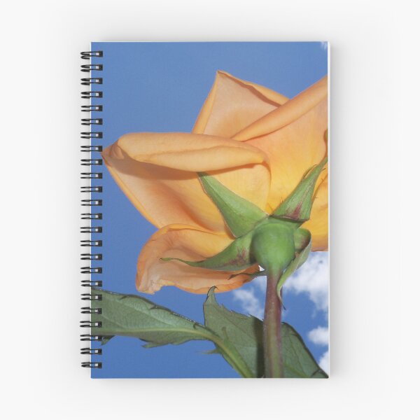 Item preview, Back side of a Peach Rose designed and sold by Diane Trummer Sullivan.