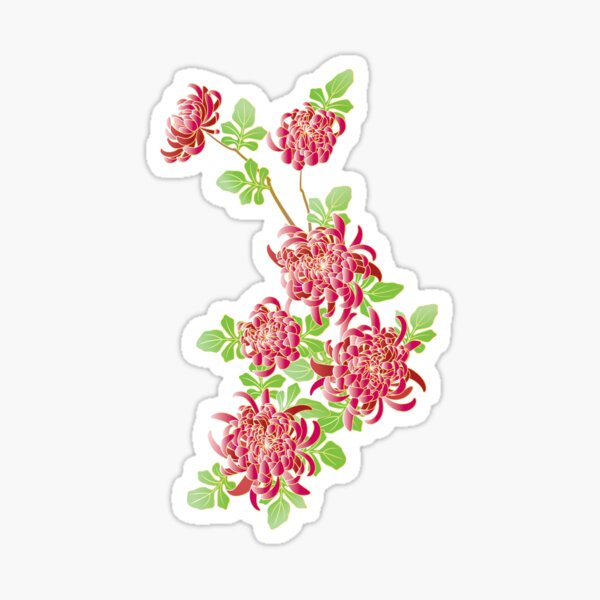 Japanese Pink Chrysanthemum Flower Sticker