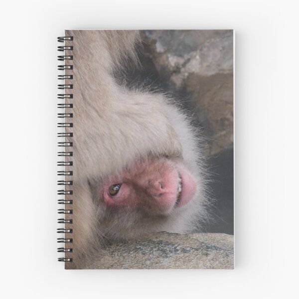 Item preview, Peekaboo! designed and sold by Christina Backus.