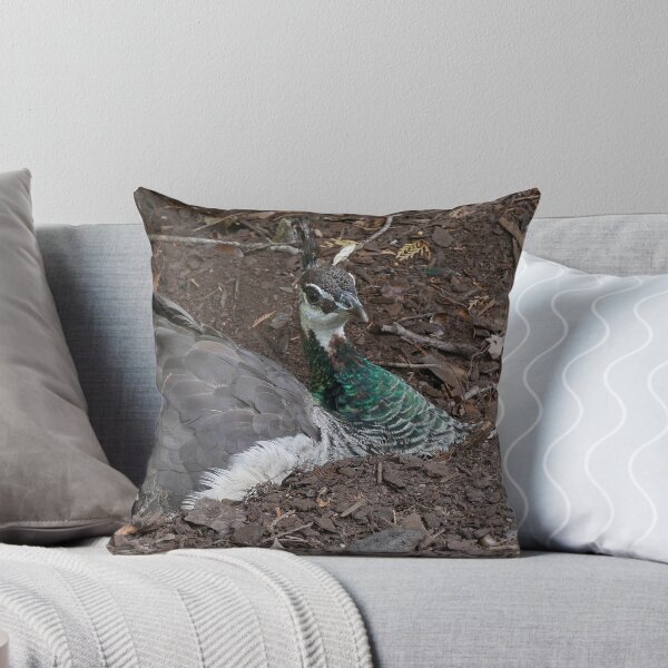 Item preview, Pea Hen, Cataract Gorge designed and sold by pierredubrelle.